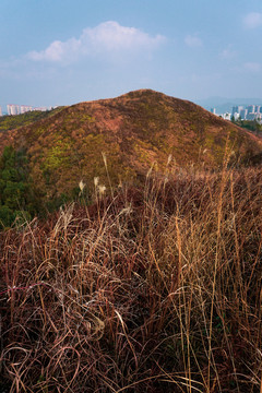 高山山丘荒山野岭