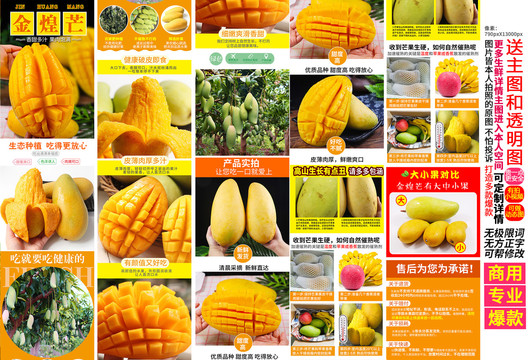 金煌芒詳情頁主圖