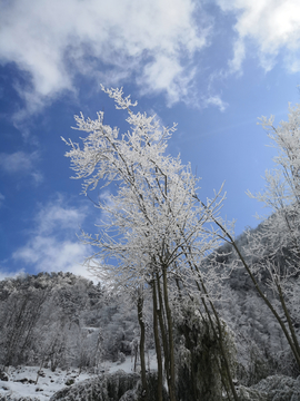 冬日山林雪景蓝天