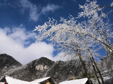 冬日蓝天下的雪景