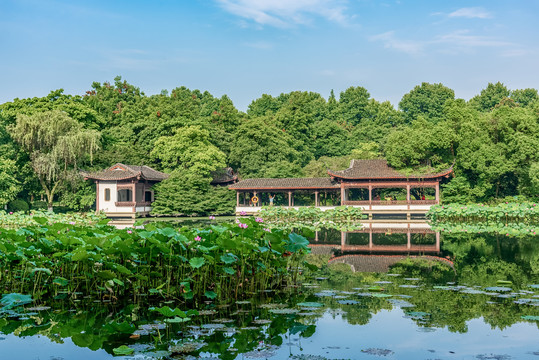 杭州西湖曲院风荷中式建筑