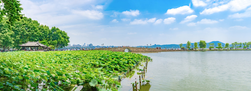 杭州西湖断桥夏天全景图拼接图