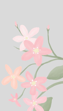 那些花兒