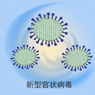 新型官状病毒