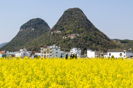 罗平金鸡峰丛油菜花海