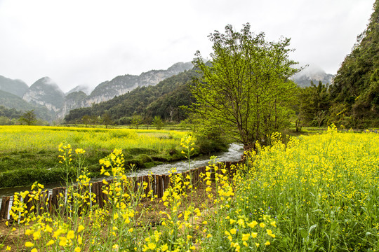 广南坝美风景区