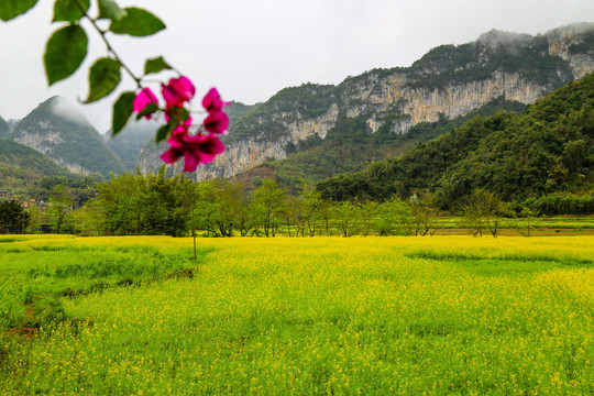 广南坝美风景区