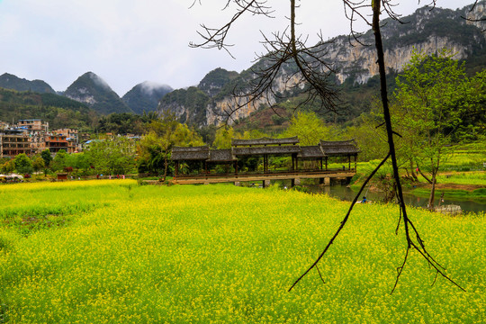 广南坝美风景区