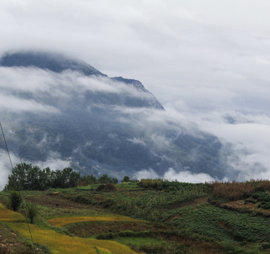 云雾山