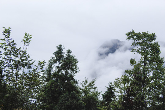 云雾山