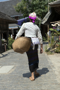 肩背箩筐的傣族女人