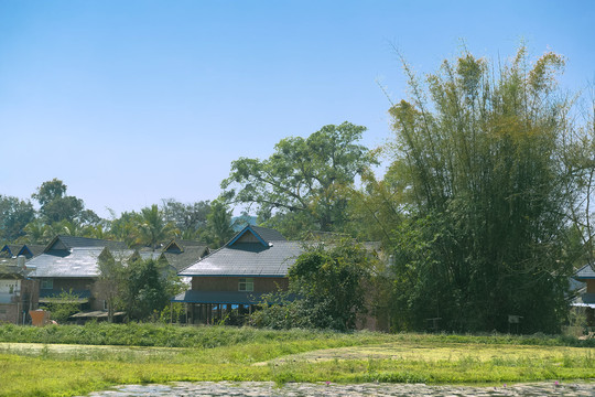 勐景来村风光