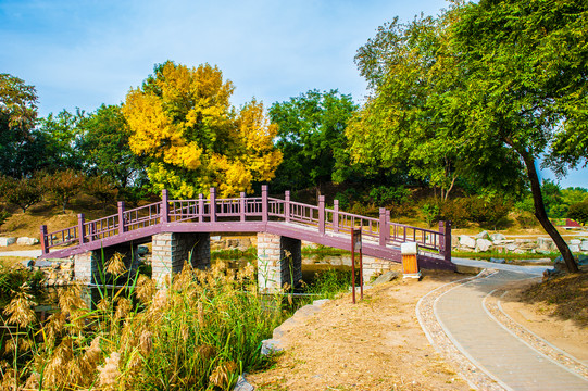 北京圆明园秋日风景