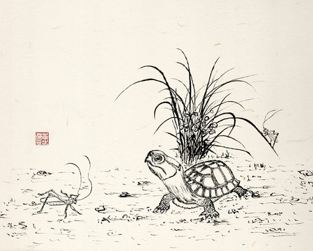 黃緣閉殼龜