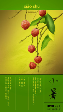 小暑手繪插畫
