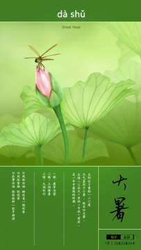 大暑插畫