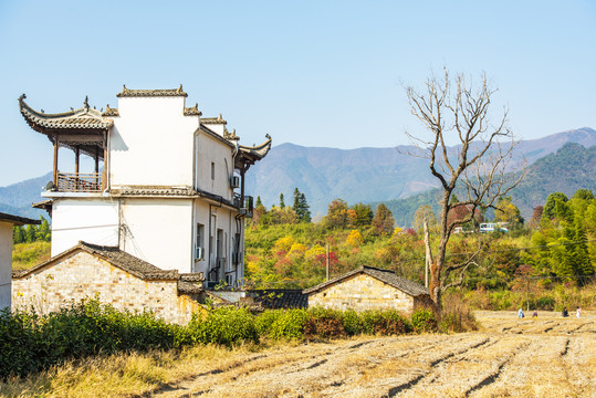 西递古村落徽派建筑