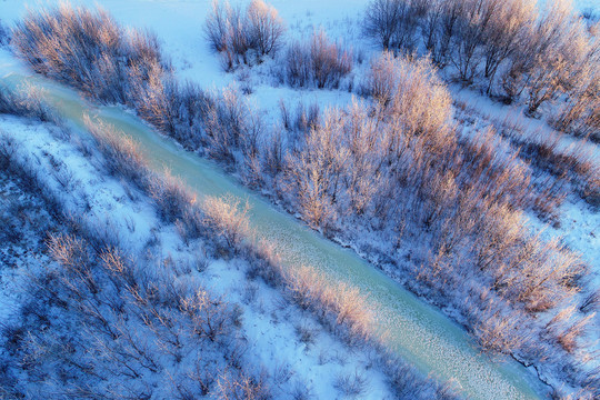 大兴安岭雪域冰河红树林