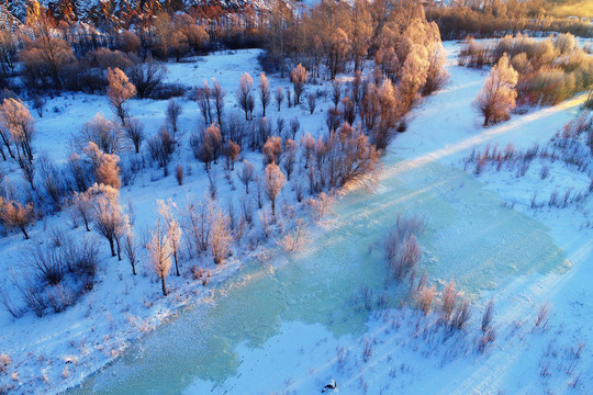 大兴安岭雪域冰河红树林