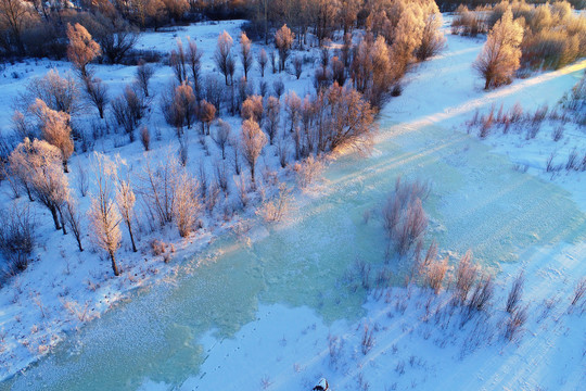 大兴安岭雪域冰河红树林