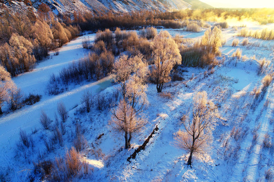 航拍大兴安岭雪原树林朝阳