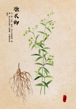 徐長卿