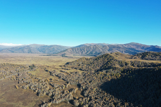 阿尔泰山