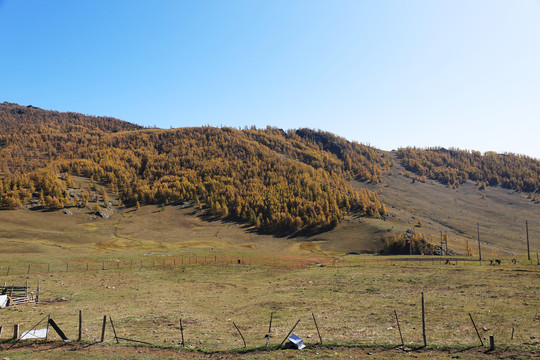 阿勒泰山区