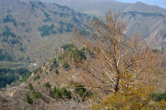 马鞍山