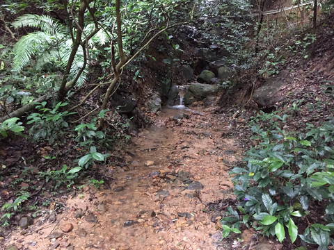 新会圭峰山景区山泉水