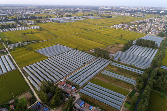 中国农村生产生活场景