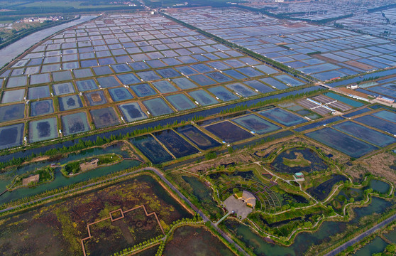 航拍中国农村生产生活场景