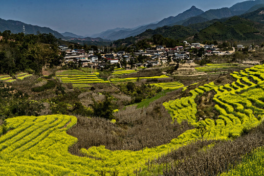 彩色村庄