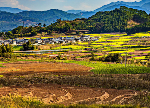 田园村庄