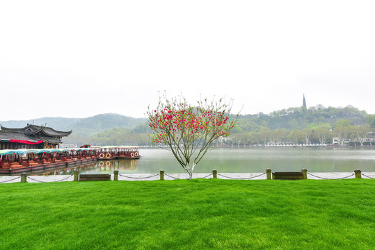 杭州西湖春景