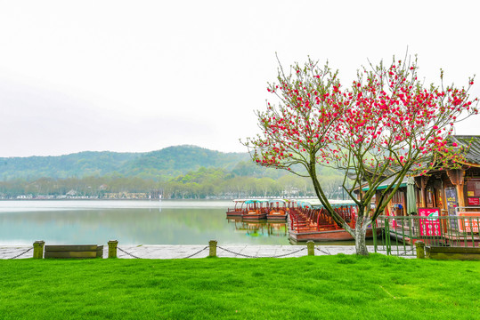 杭州西湖白堤春景