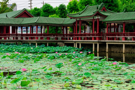 小区画廊