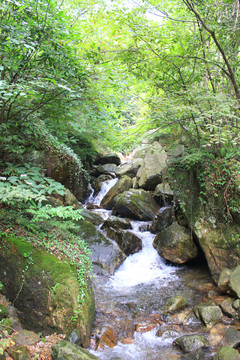 浙江大明山秋游风景