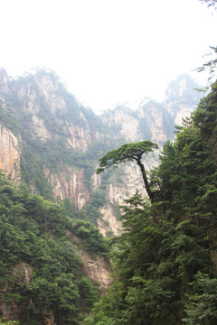 浙江大明山秋游风景