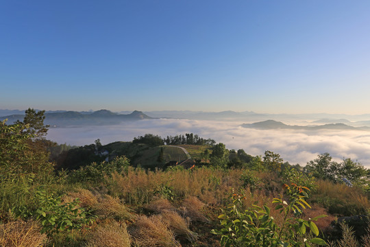 县河山顶云雾