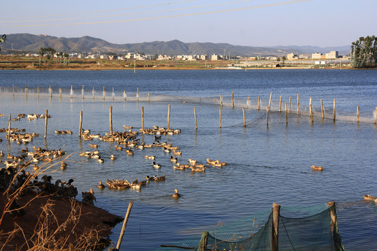 高原水库