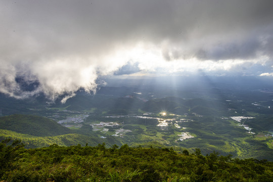 雾景