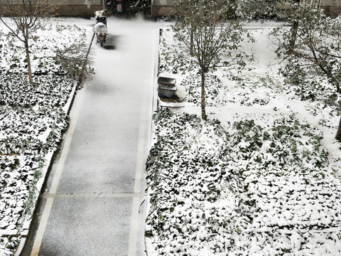 雪景