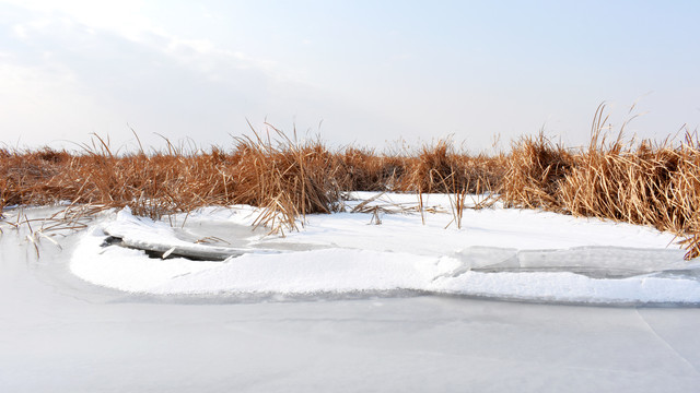 冰雪