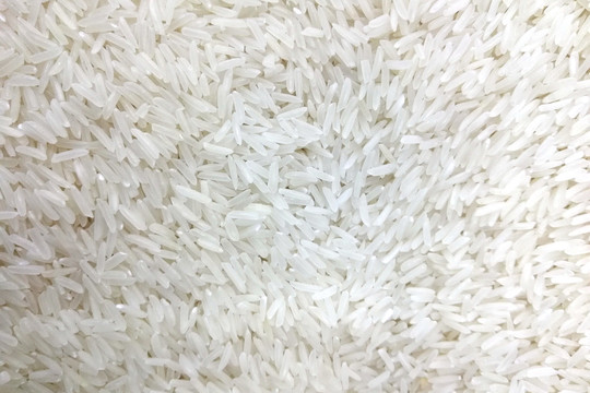 新鲜大米