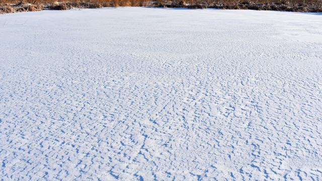 雪地