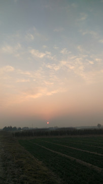 北方乡村农村冬天麦田夕阳