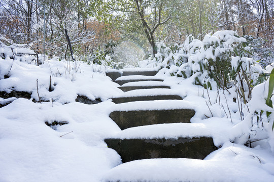 雪景