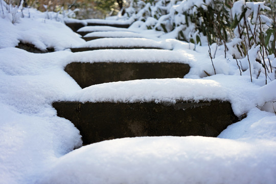 积雪