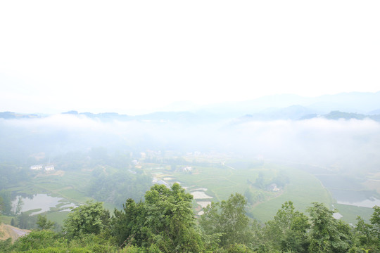 桃花岛全景正午